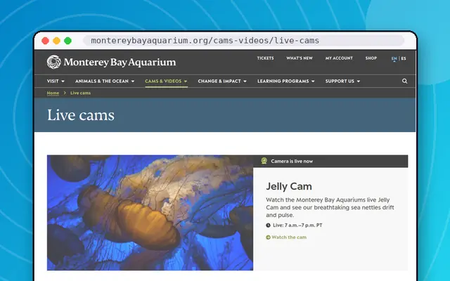 Monterey Bay Aquarium Live Cams: preview of montereybayaquarium.org