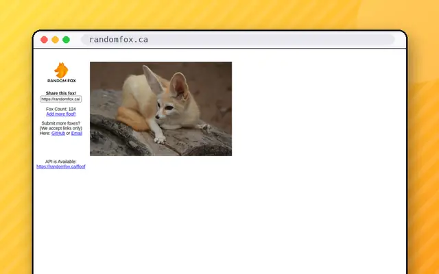 RandomFox: preview of randomfox.ca